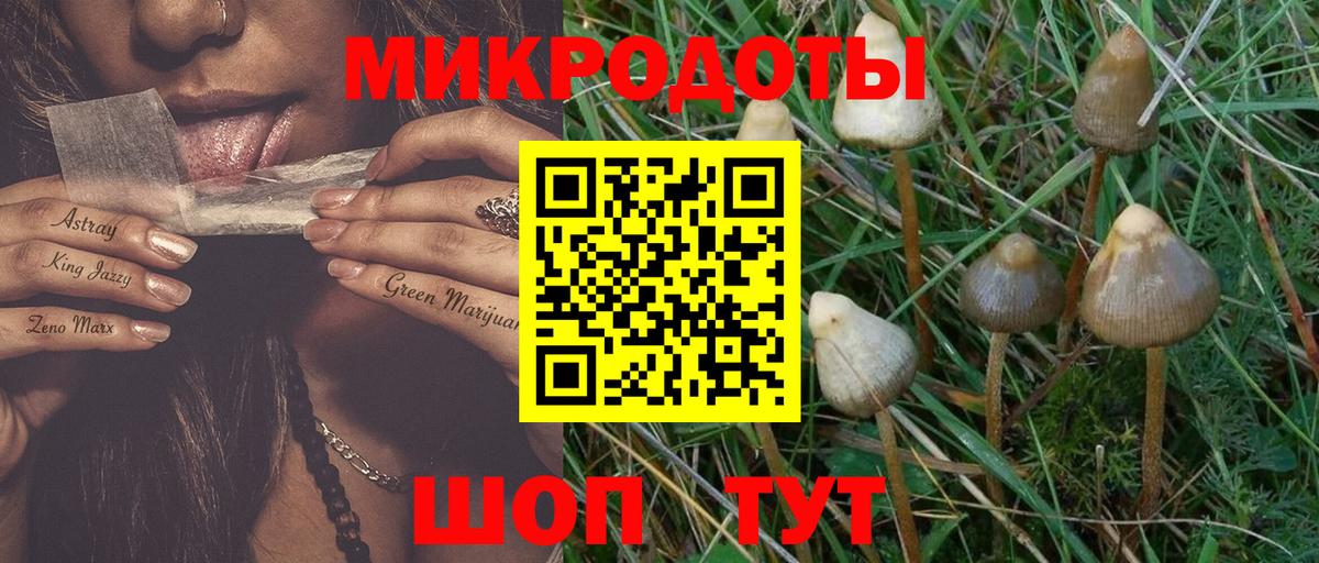 Галлюциногенные грибы мицелий Воронеж