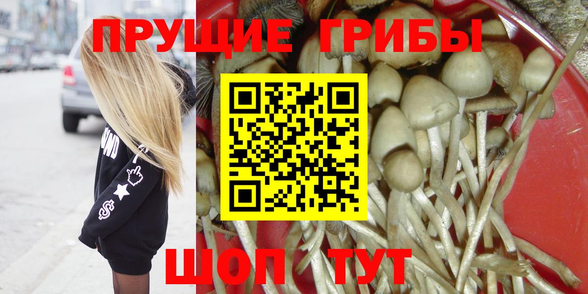 Псилоцибиновые грибы Psilocybe  Галлюциногенные грибы MAGIC MUSHROOMS  Воронеж  Вход с VPN 